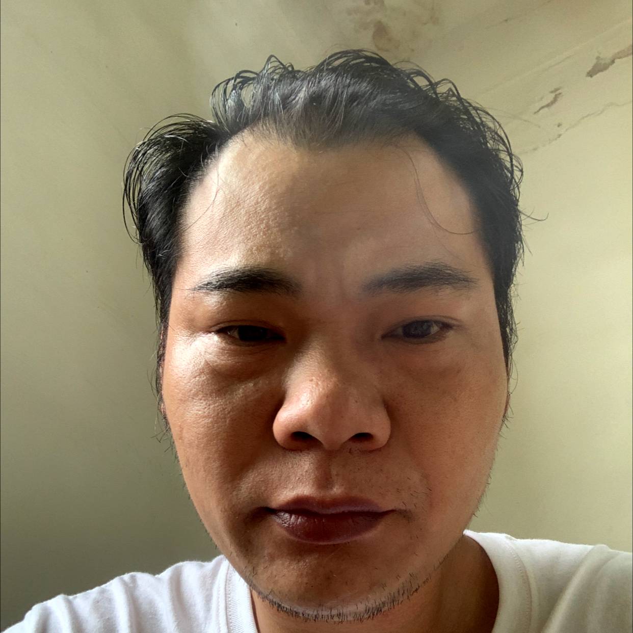 白云与机灵的照片