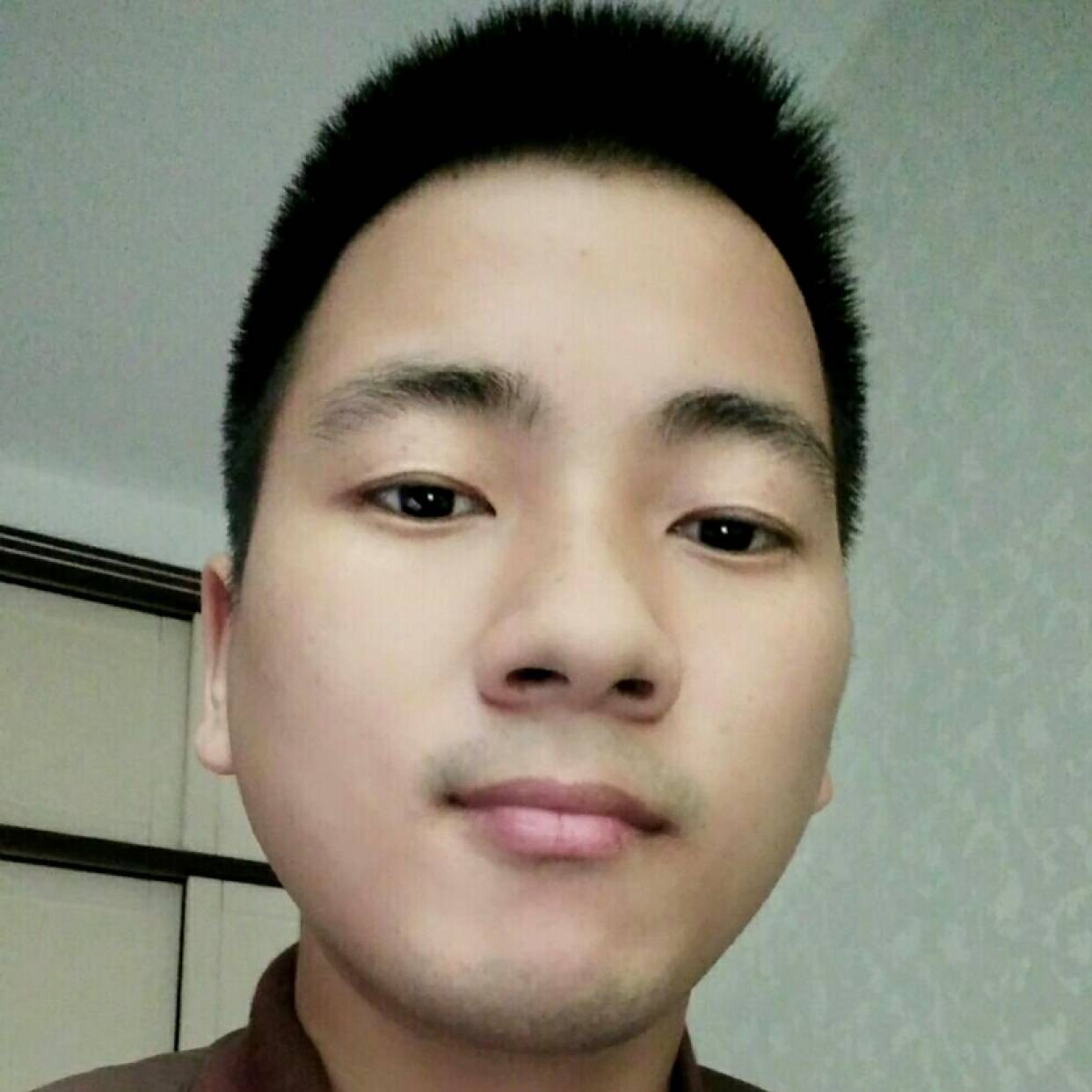 微笑刺猬。的照片