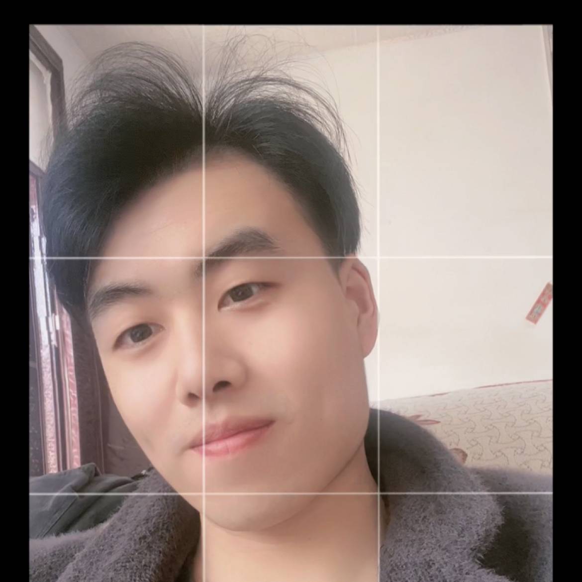 羊停止迷人的照片