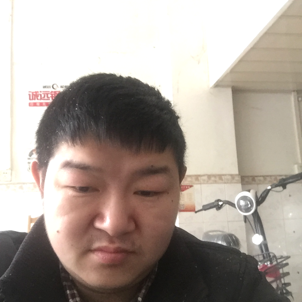 鲤鱼有蜜粉的照片