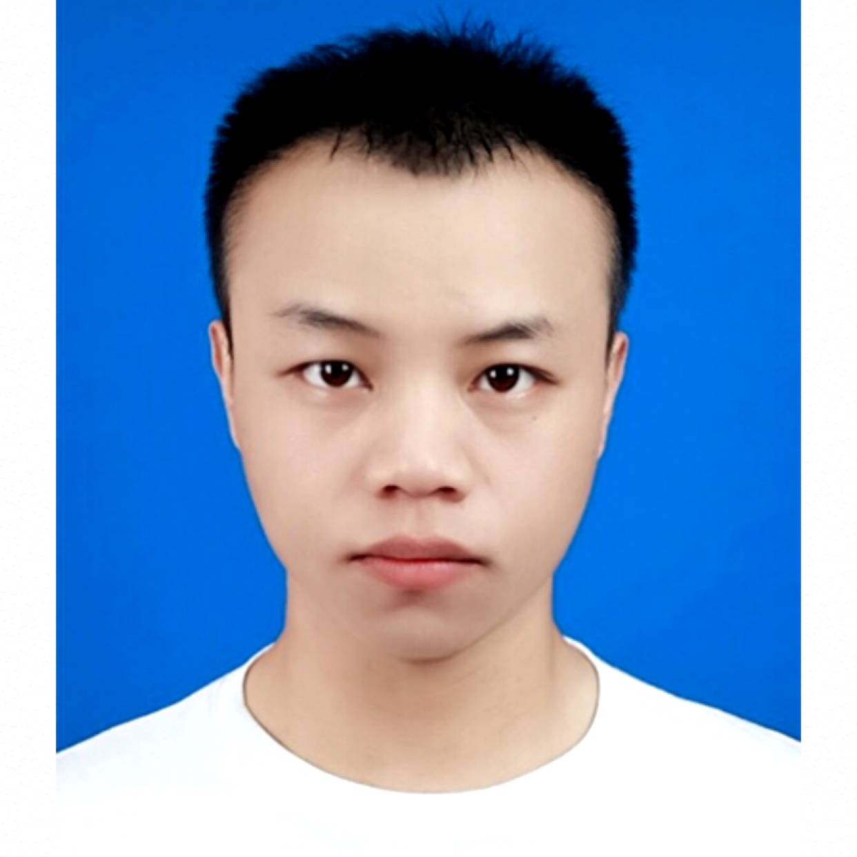 听你流浪的照片