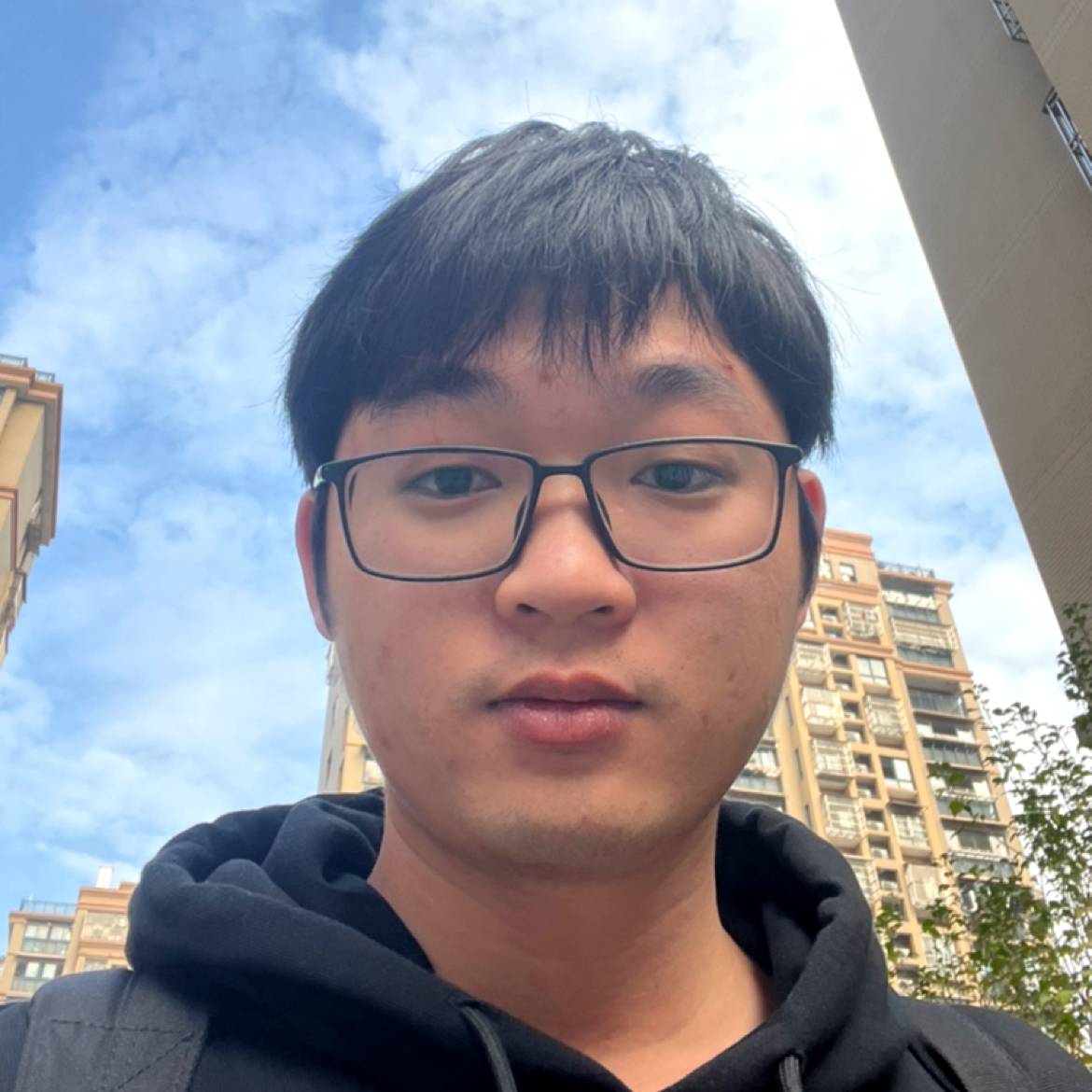 龟龟鸭的照片