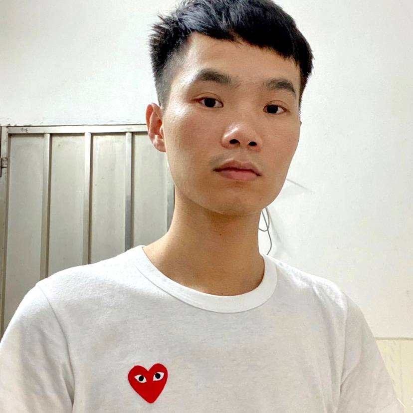 漂亮拾忆斑马的照片