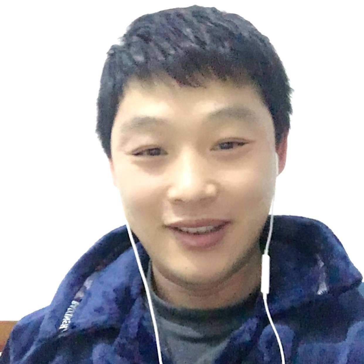 鲤鱼爱玫瑰的照片