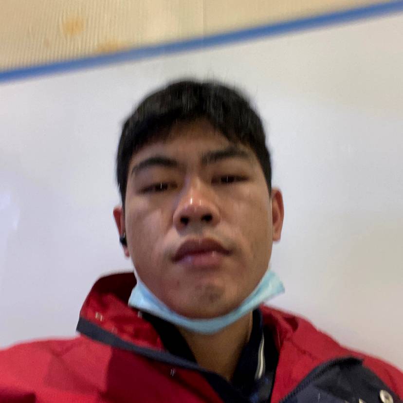 金毛笑傲娇的照片