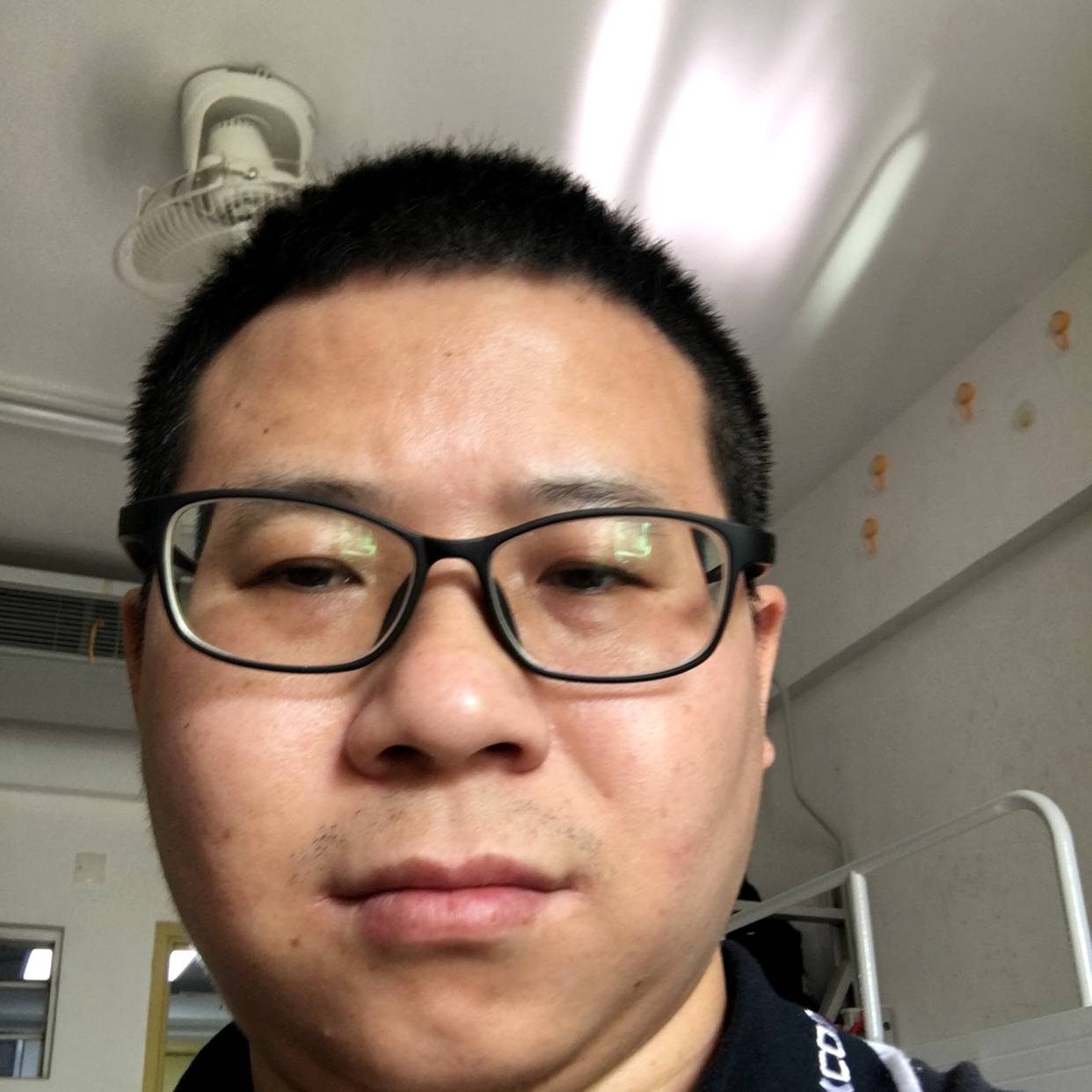 粗心有蝶舞的照片