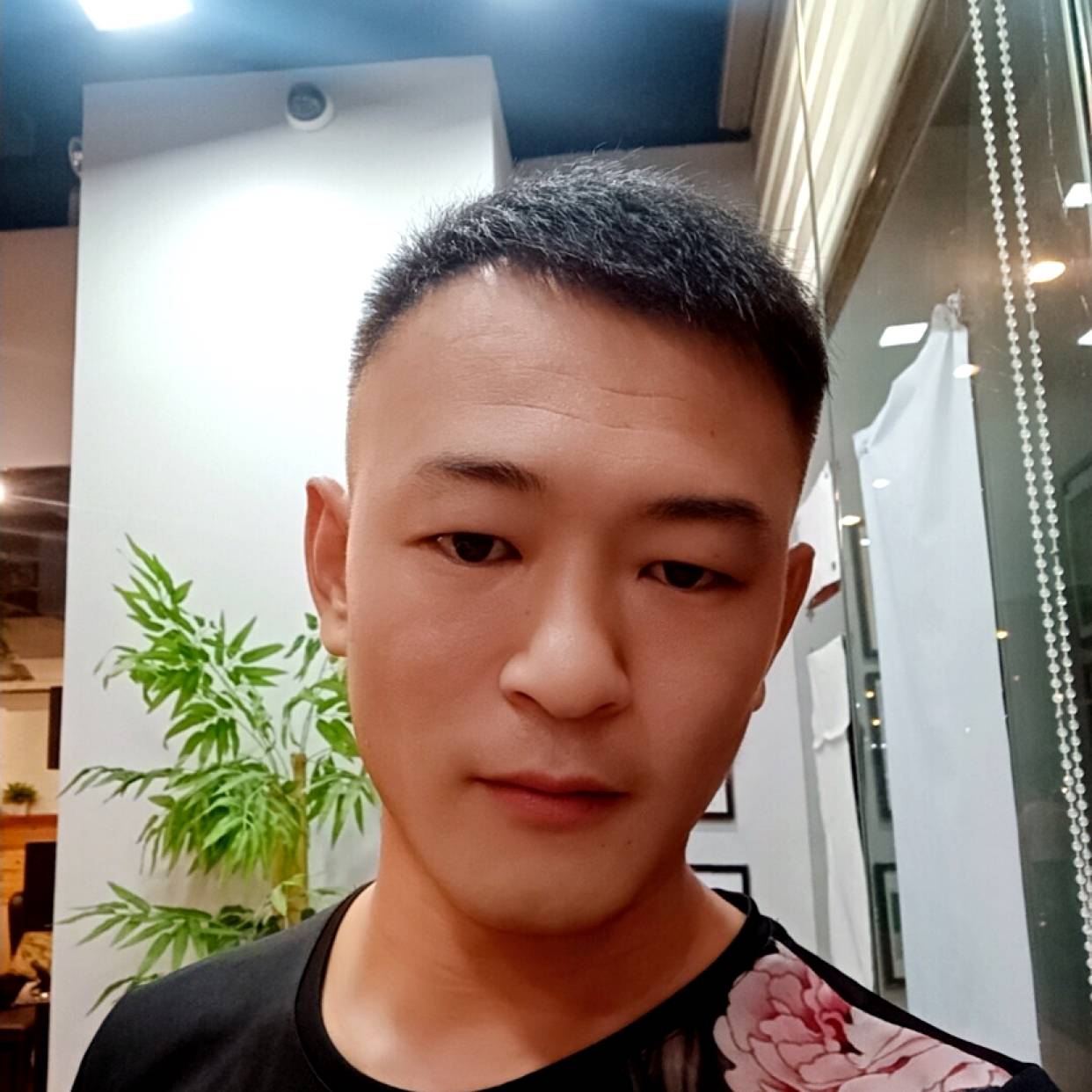 荷花回眸暧昧的照片