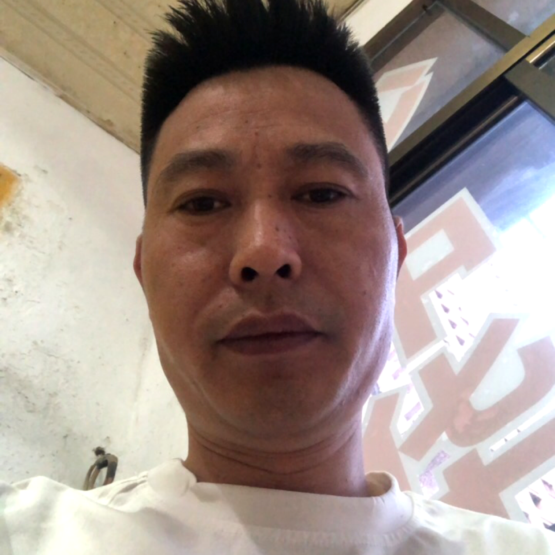 早晨漫步俏皮的照片