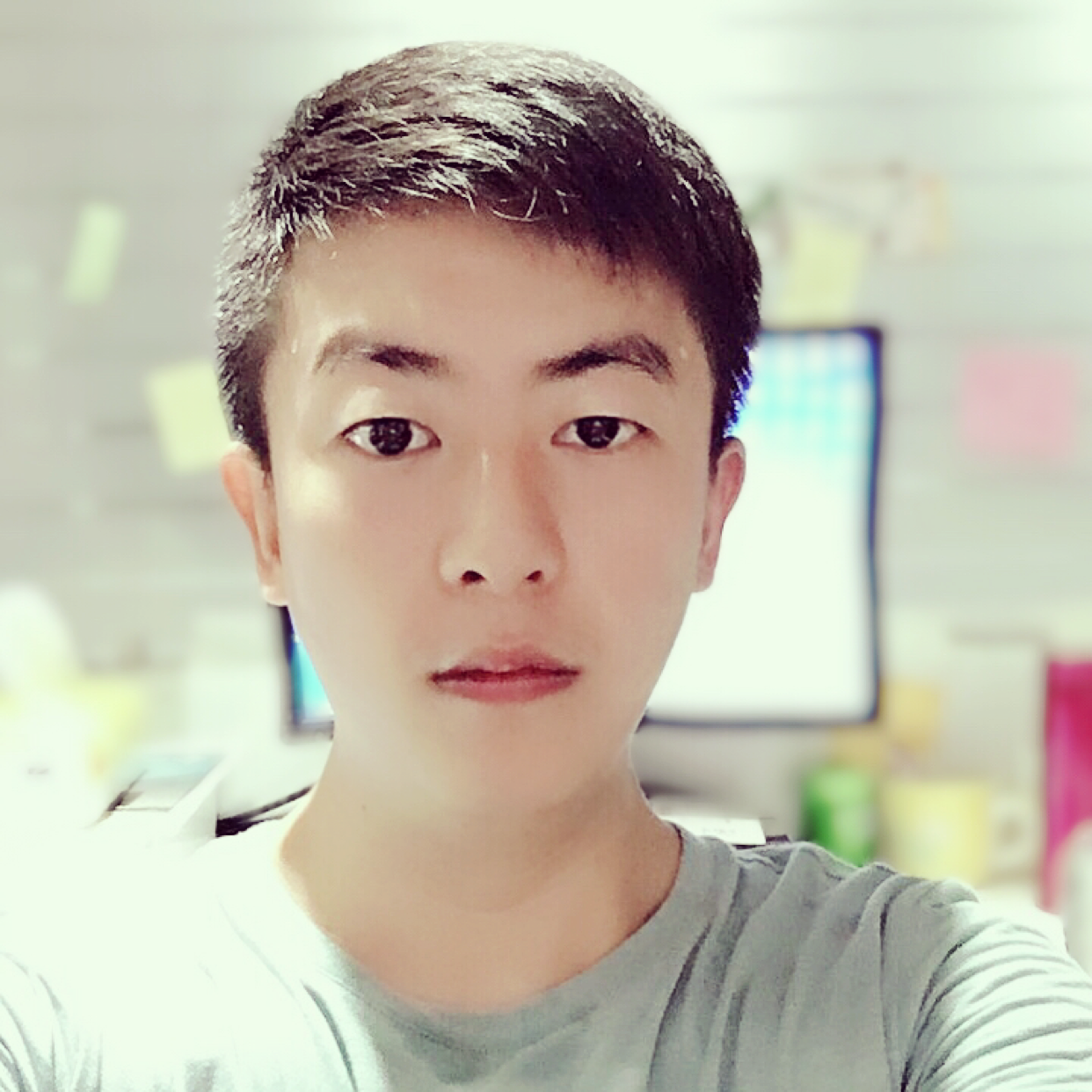 小蚂蚁机灵的照片