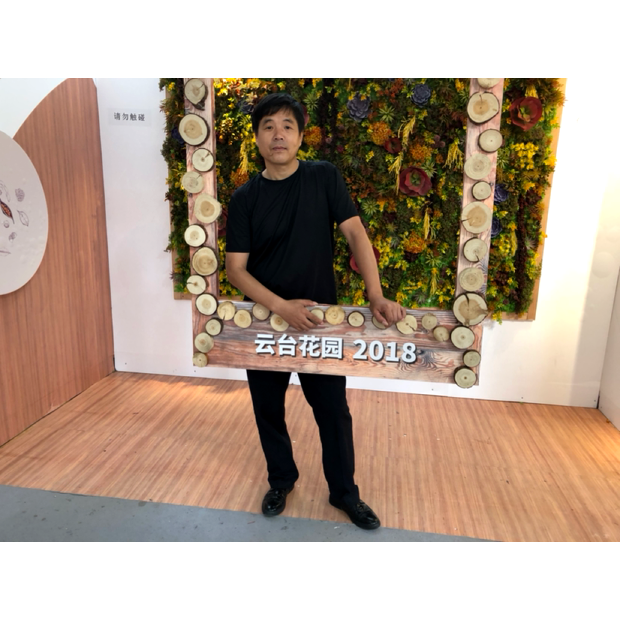 紫菜缠绵的照片