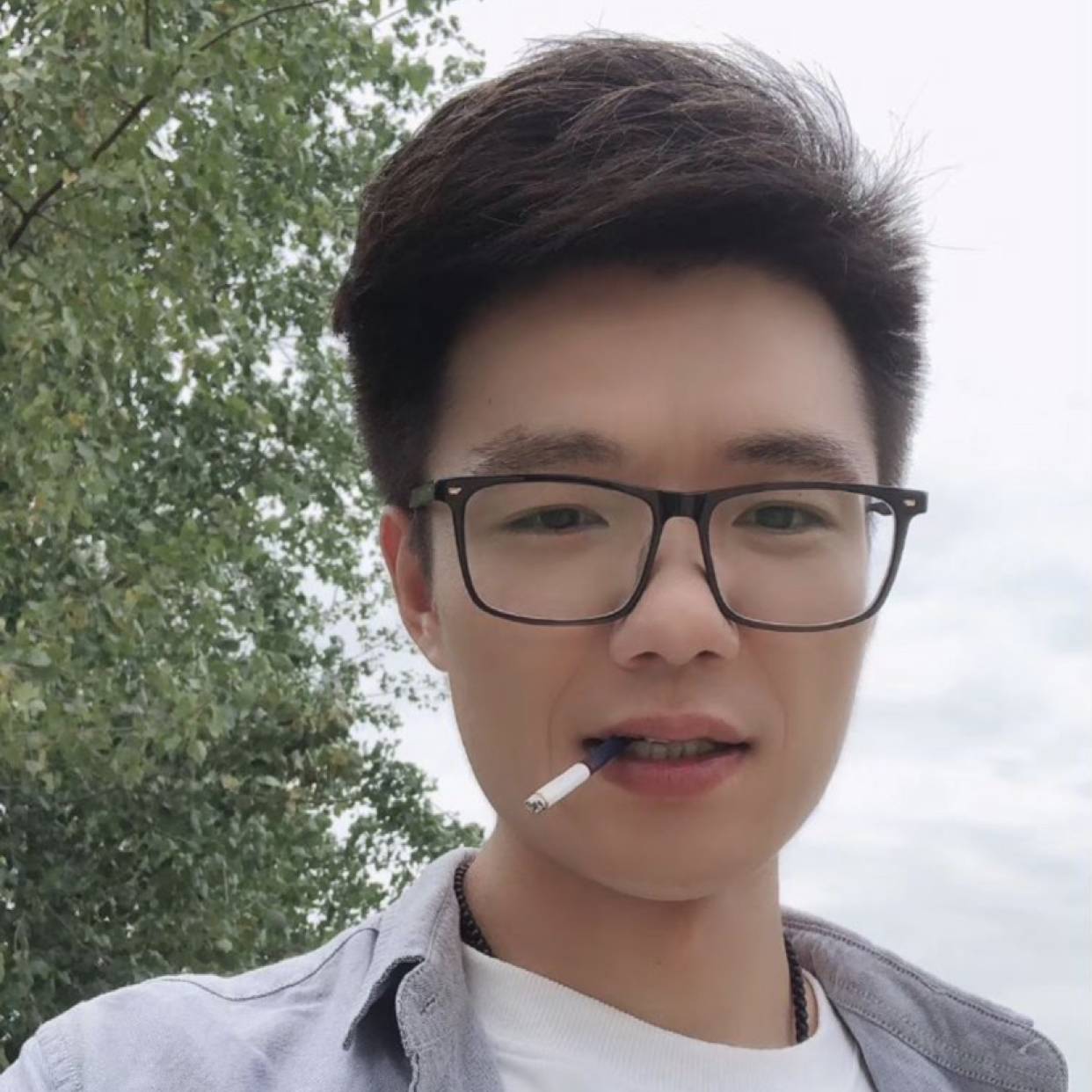 it.琪的照片
