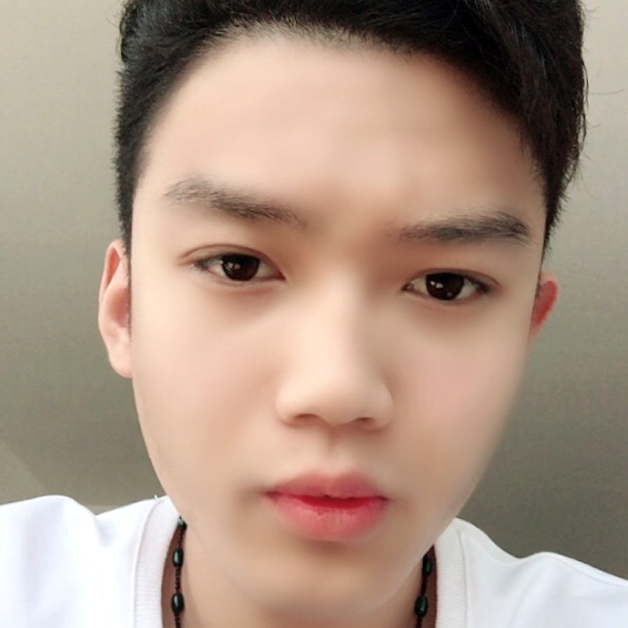 爱吃鱼的猫十三的照片
