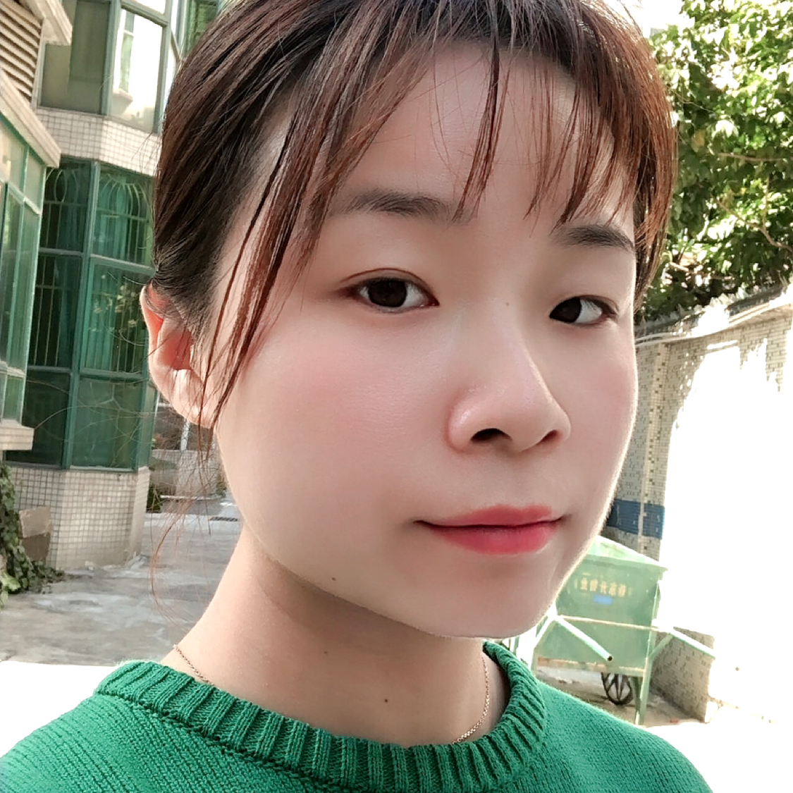 乌龟泪了昏睡的照片