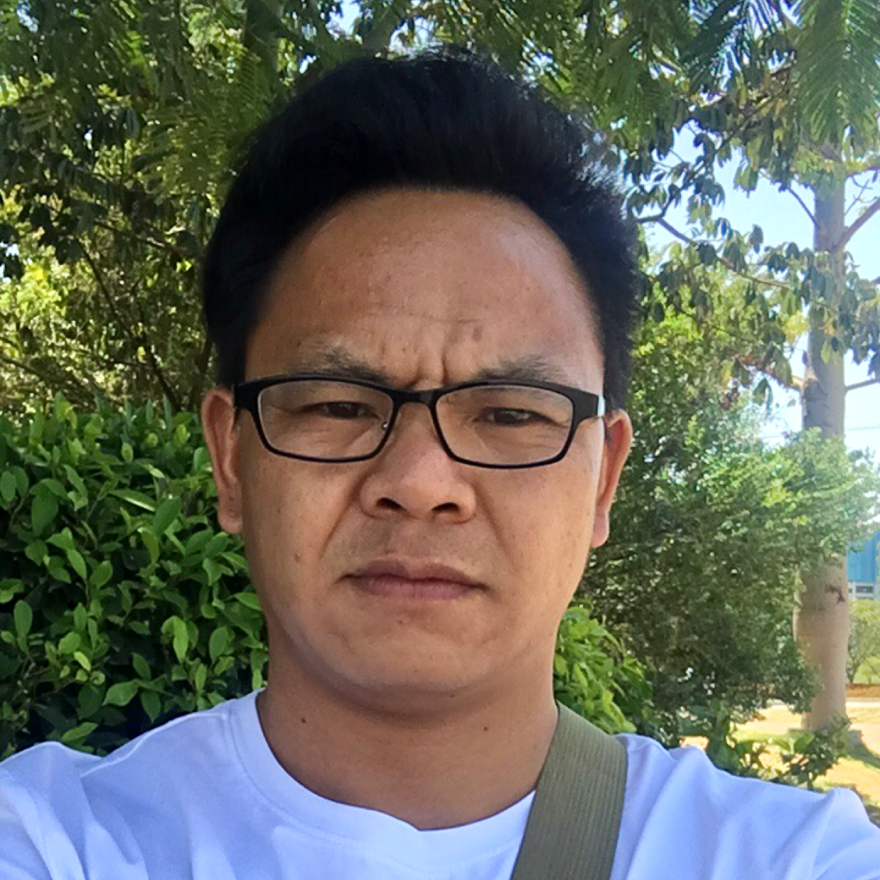 坦率给白猫的照片