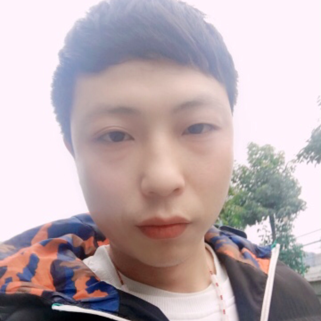 风 萧萧的照片