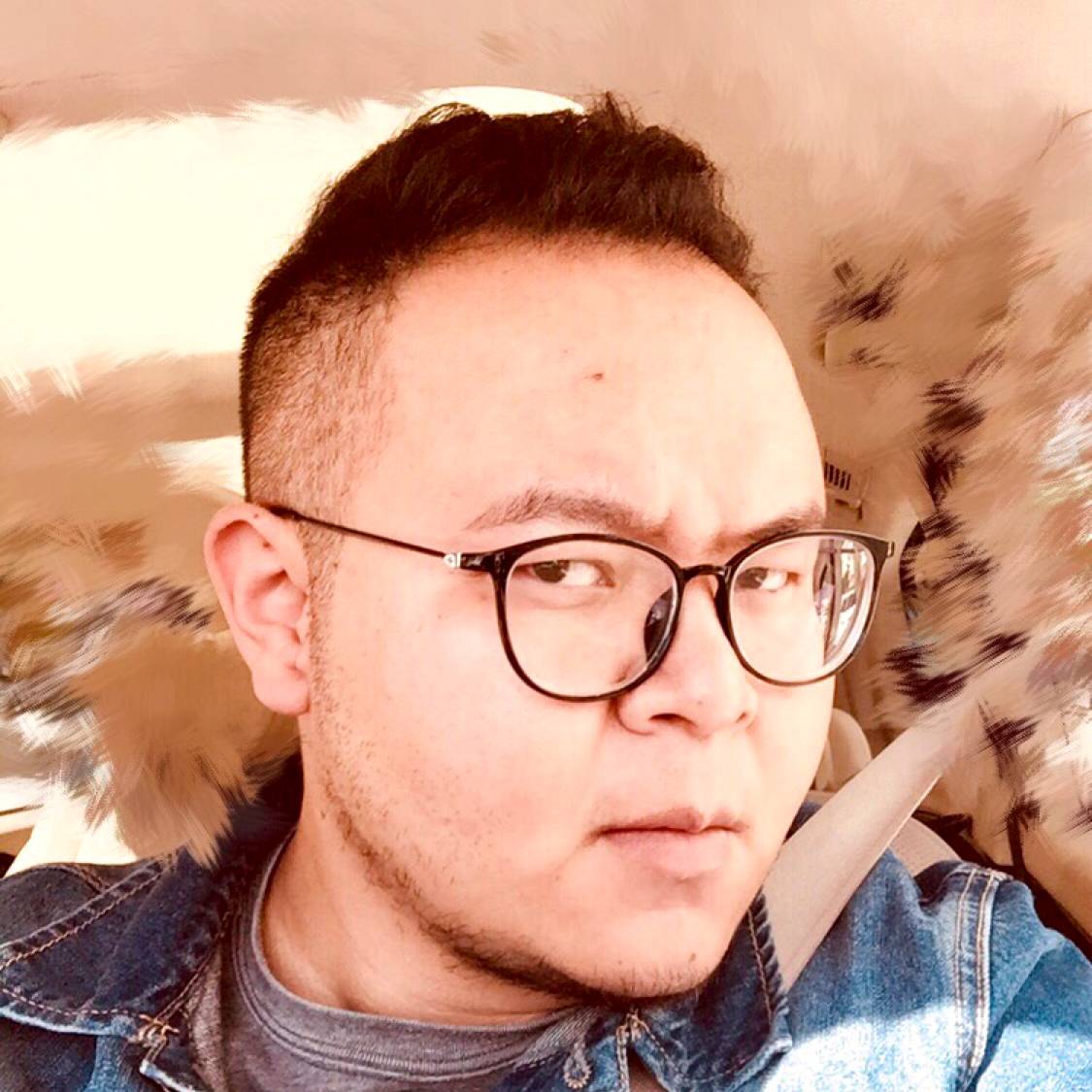 小马戏的小把戏的照片