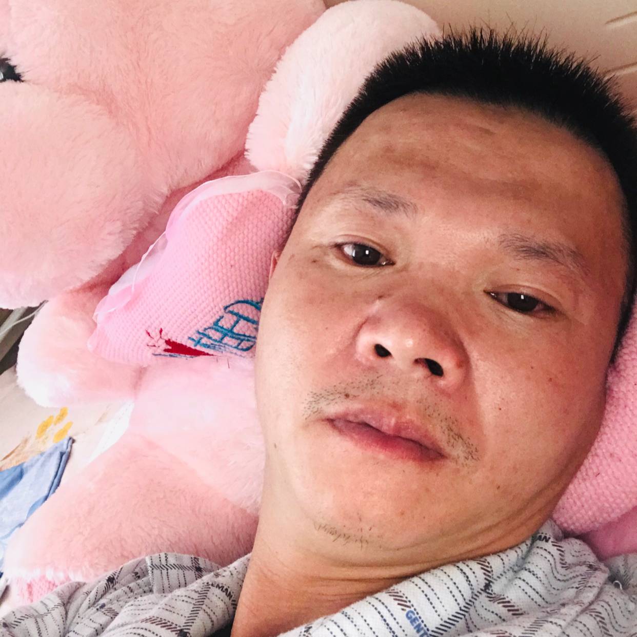 鲤鱼给可乐的照片