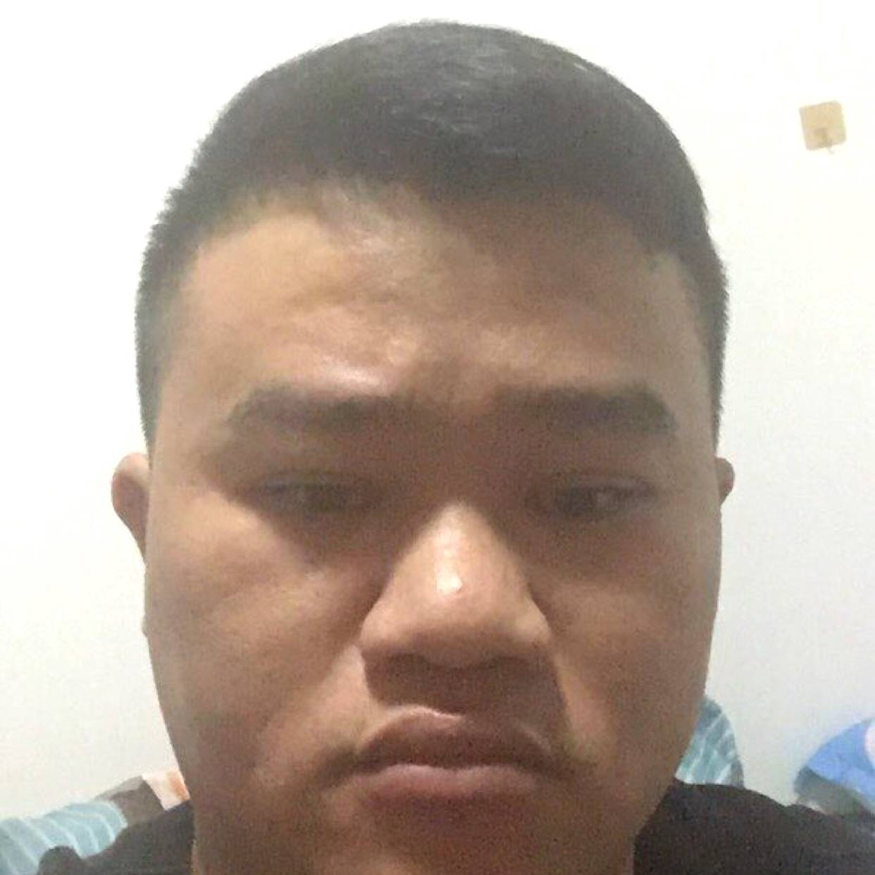 碧影高大的照片