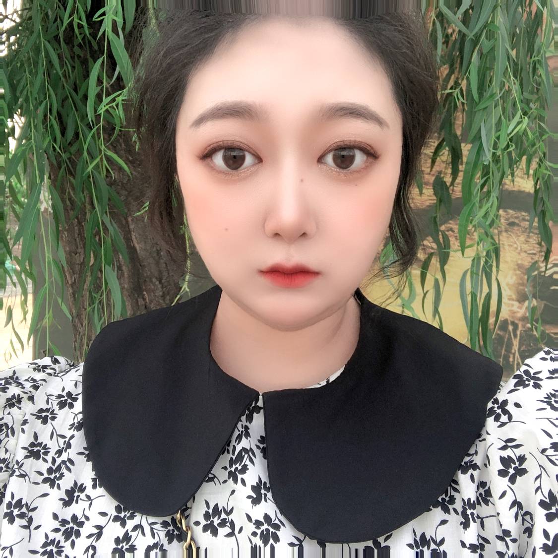 蜻蜓蹙眉敏感的照片