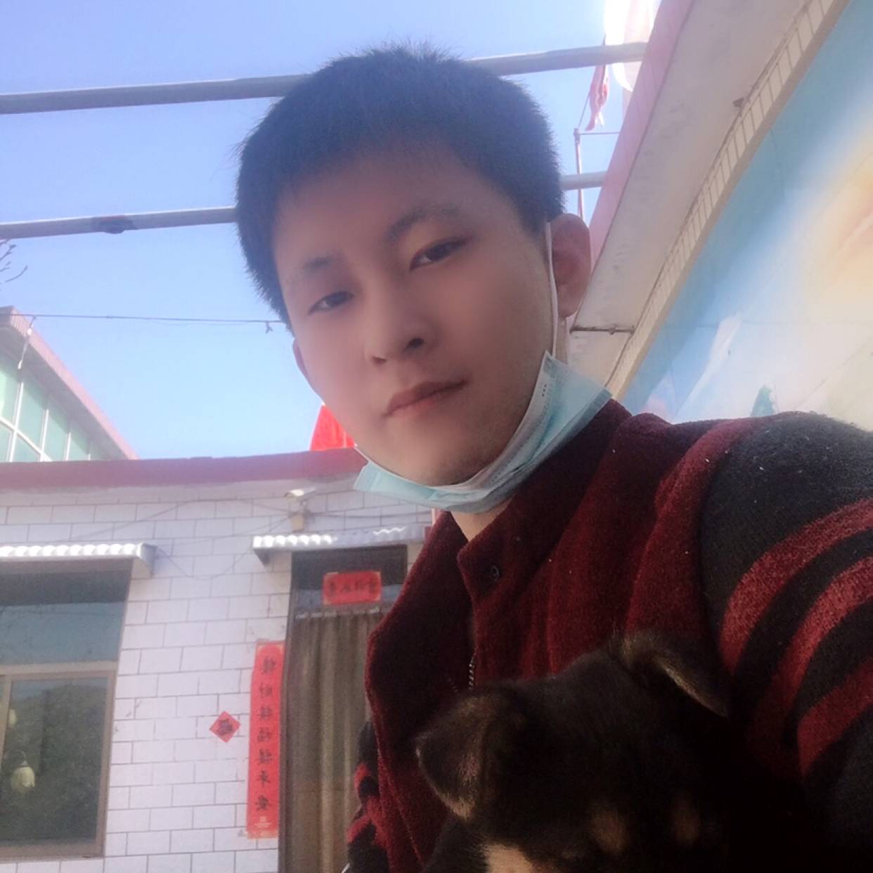 默默方龙猫的照片