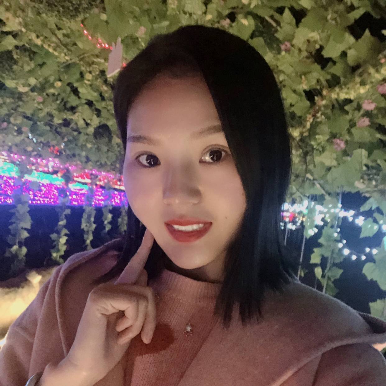 猴子的照片