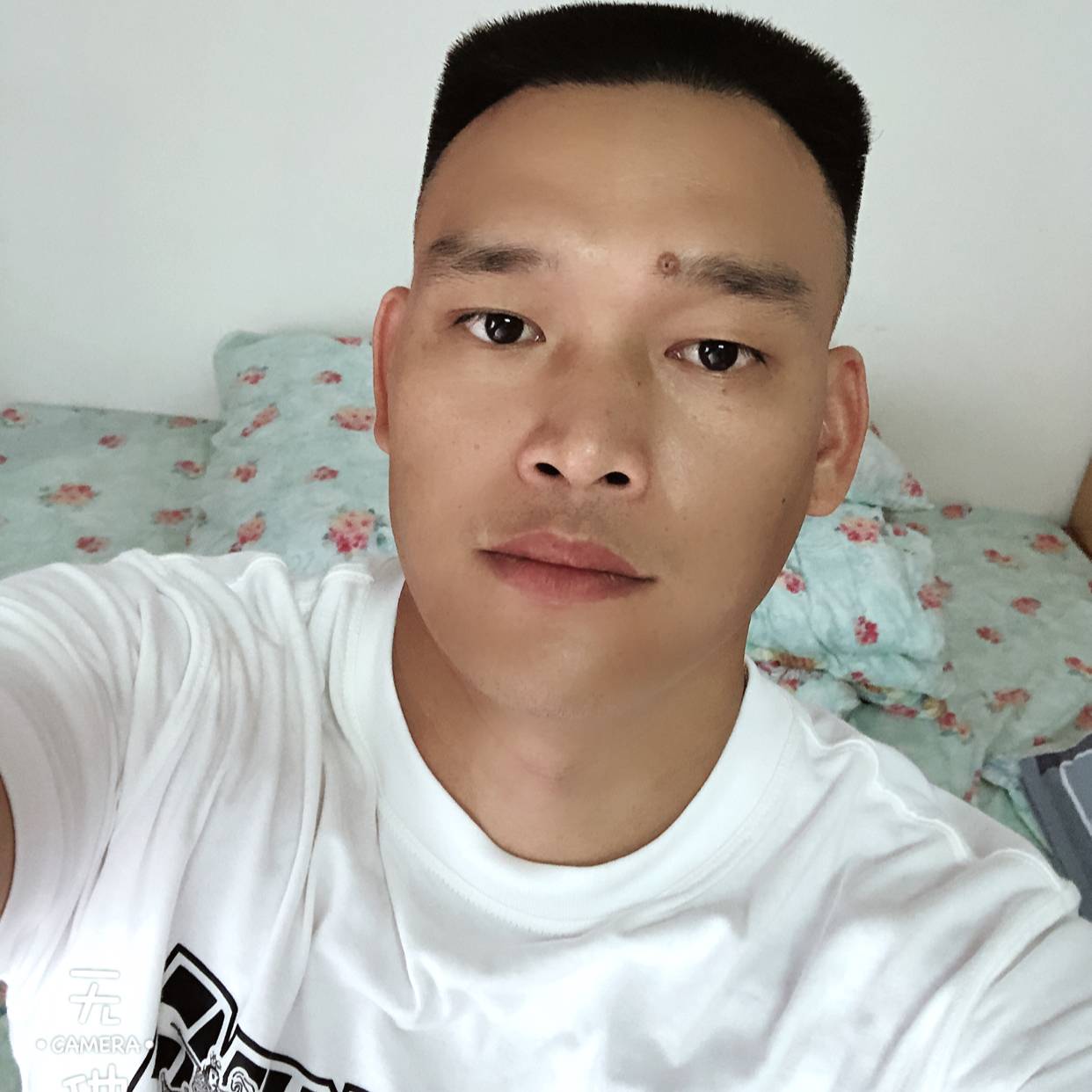 自由的老鼠的照片