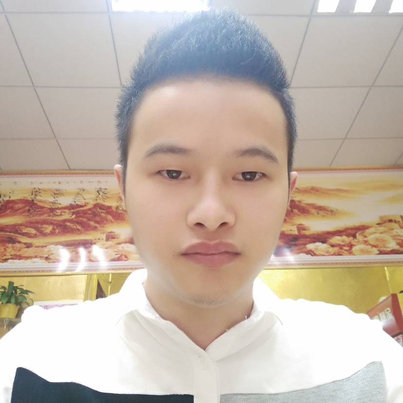 生动和鸭子的照片