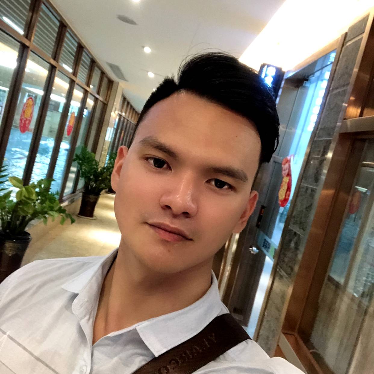 真心伴叶的照片