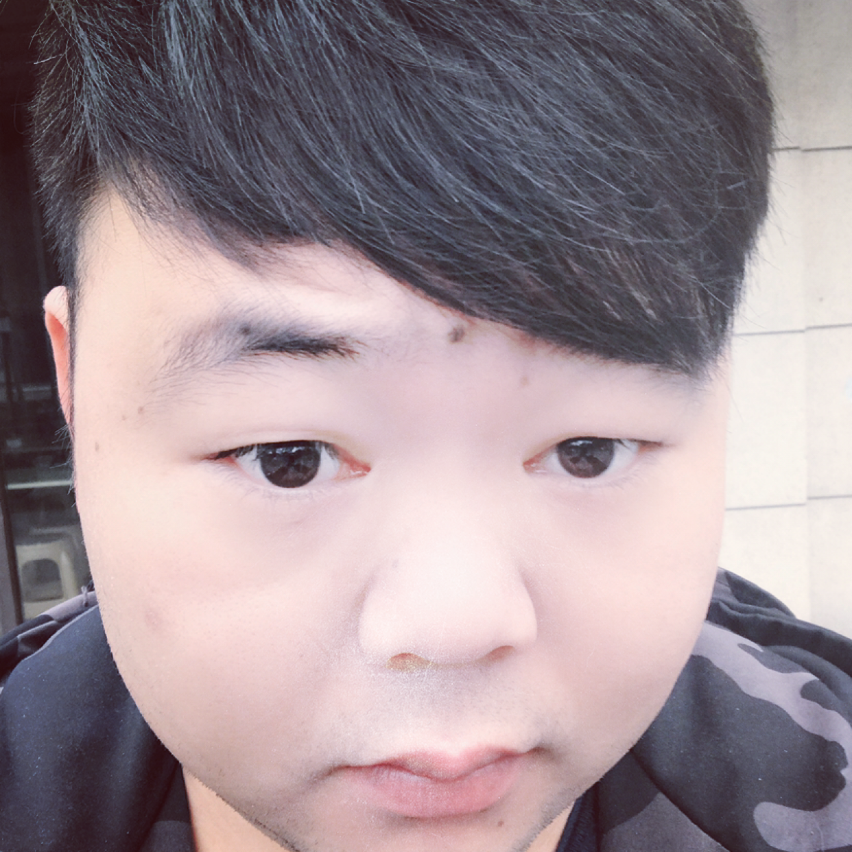 狗保卫高高的照片