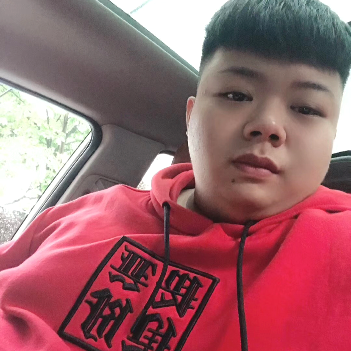 野性时代的照片