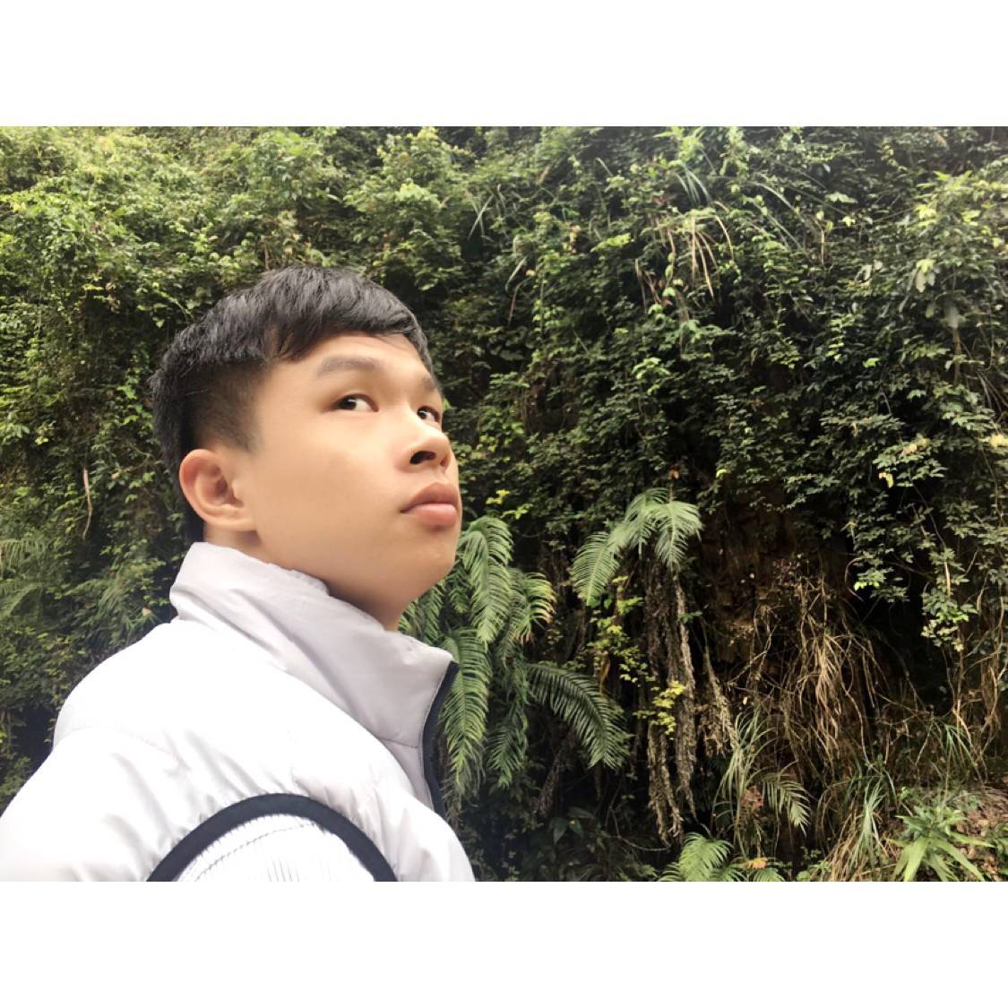 温柔回首绝影的照片