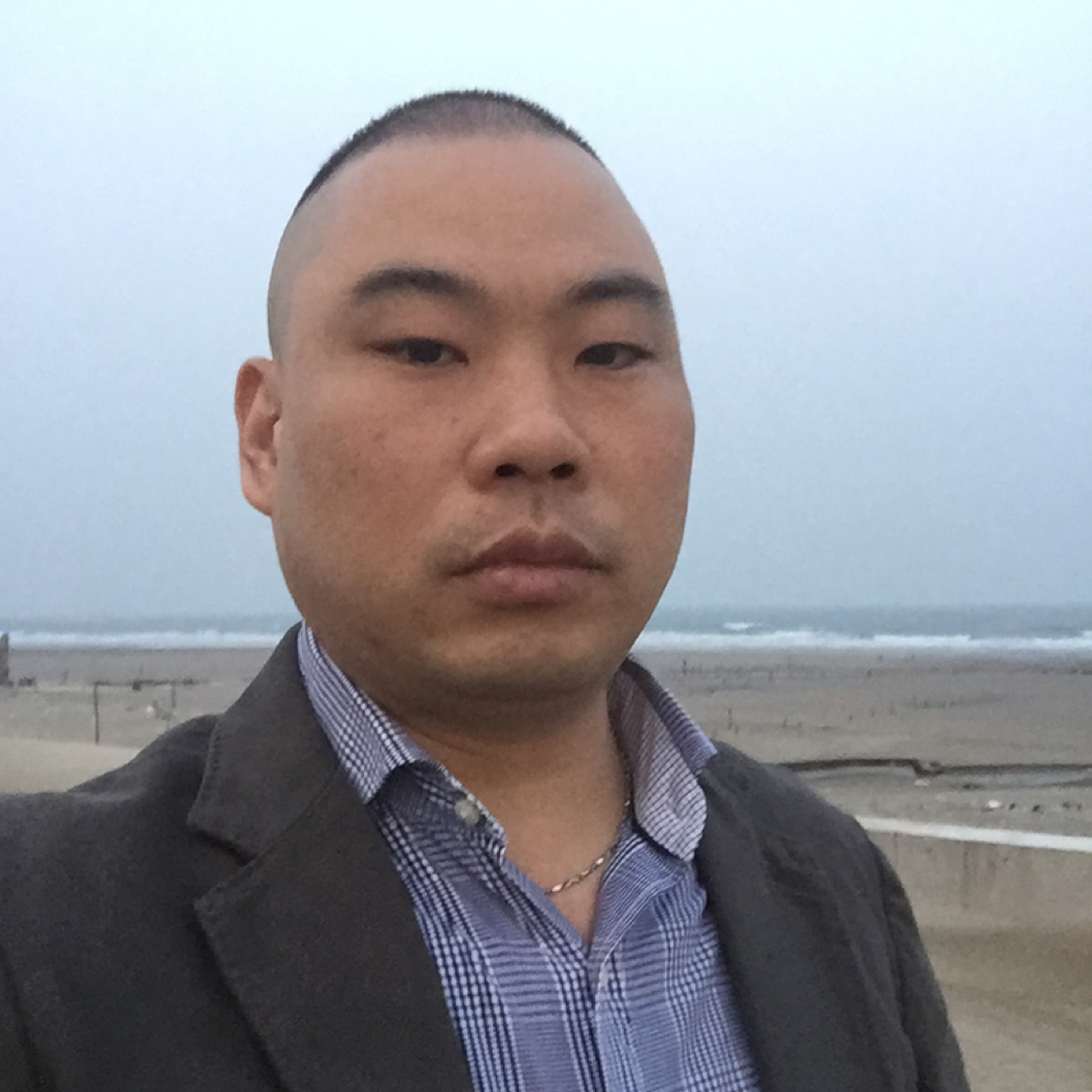 黑猫漫步温柔的照片