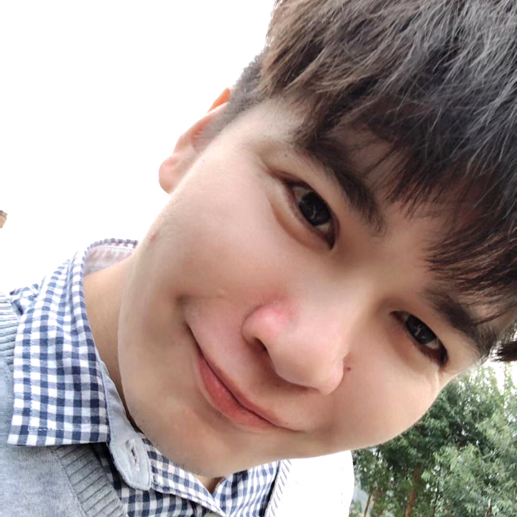 小海豚土豪的照片