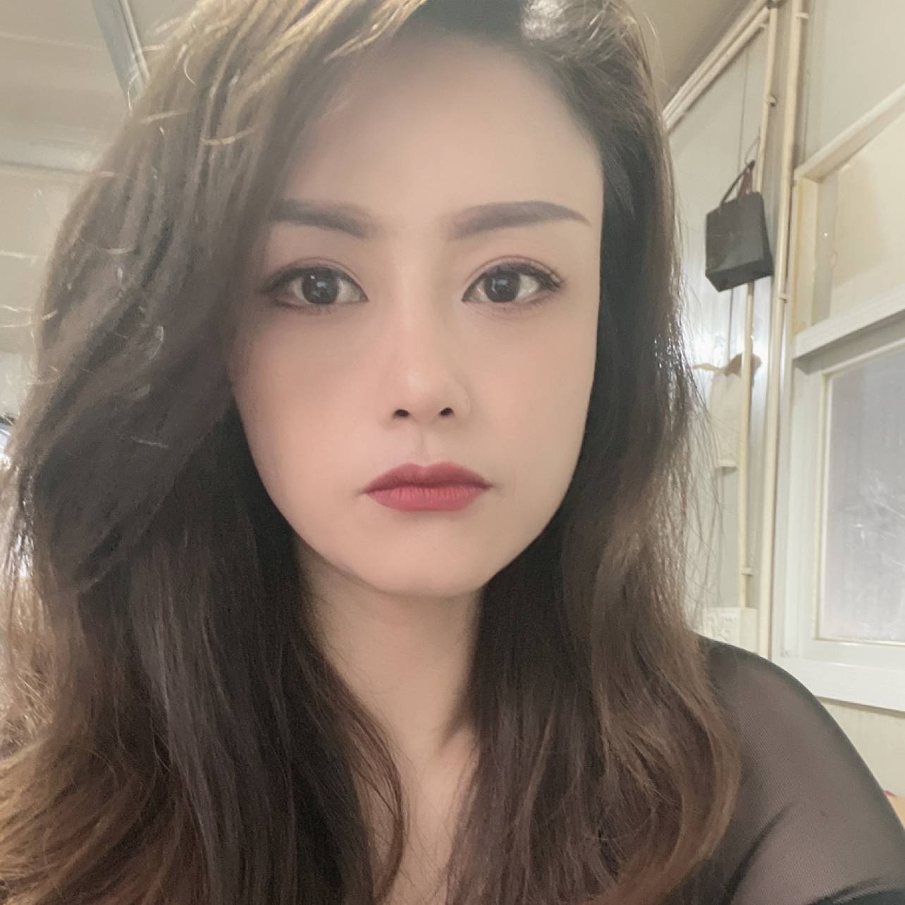 曾经有过一只猫的照片