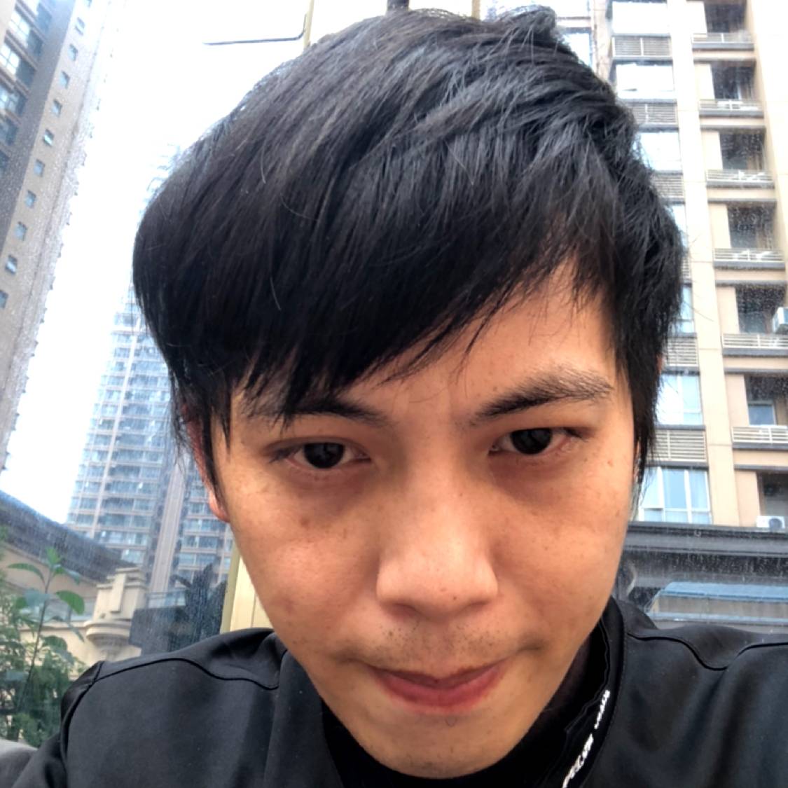 龙猫还正直的照片