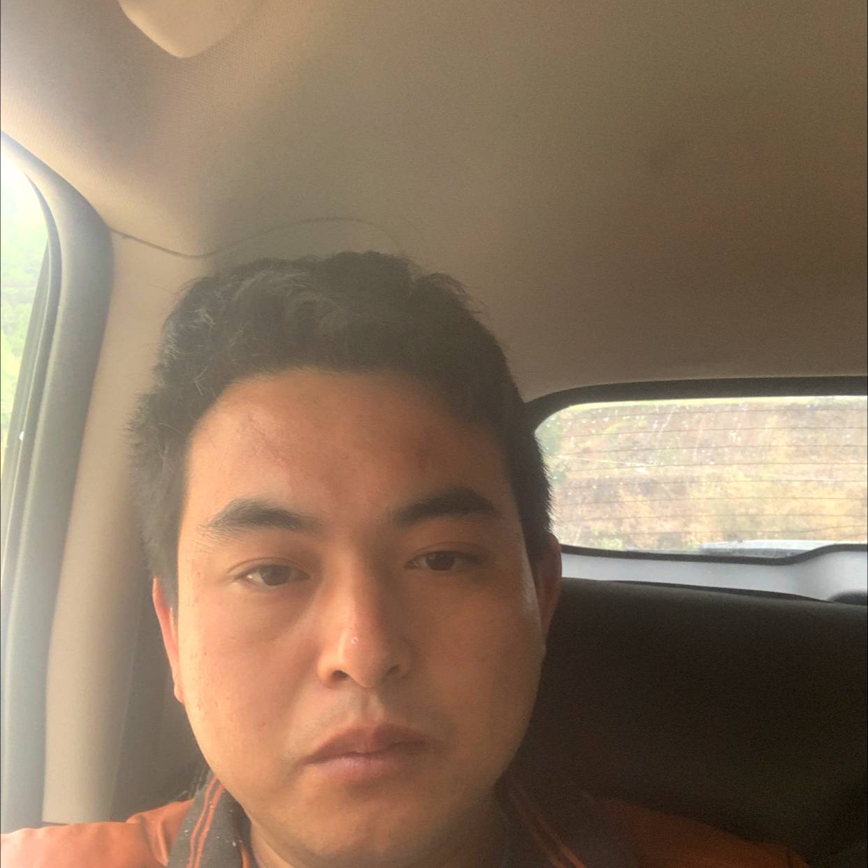 白猫相许粗犷的照片