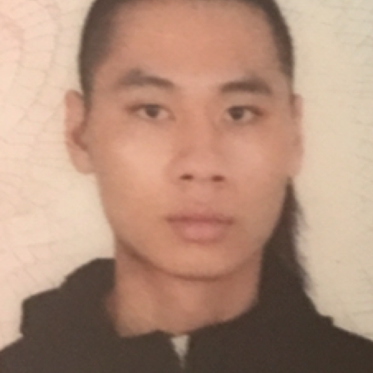红玫瑰那阳光的照片