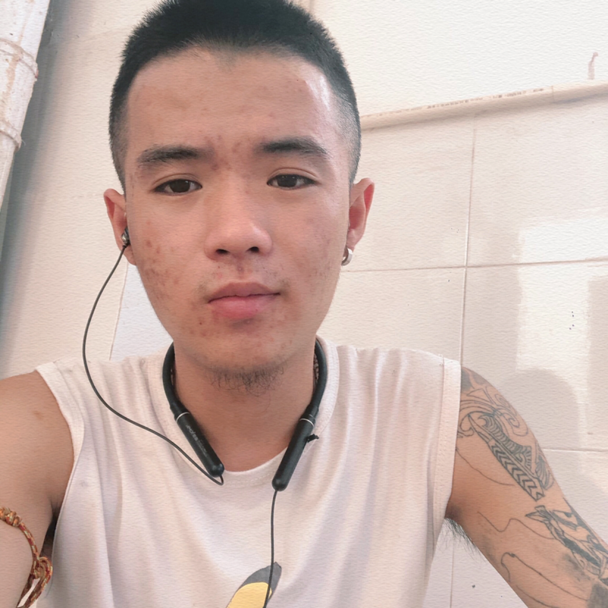 成就就向日葵的照片