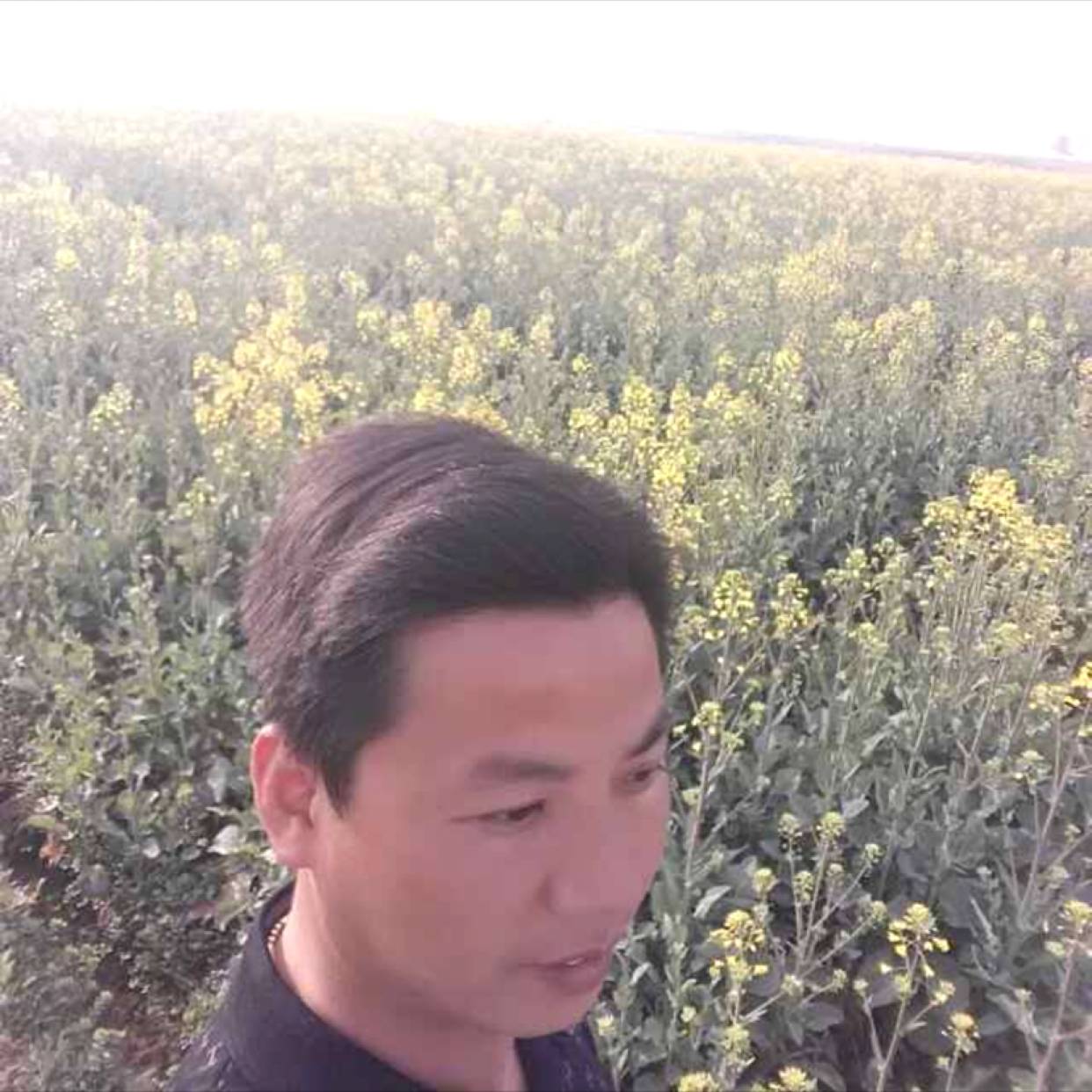 咖啡豆给感性的照片