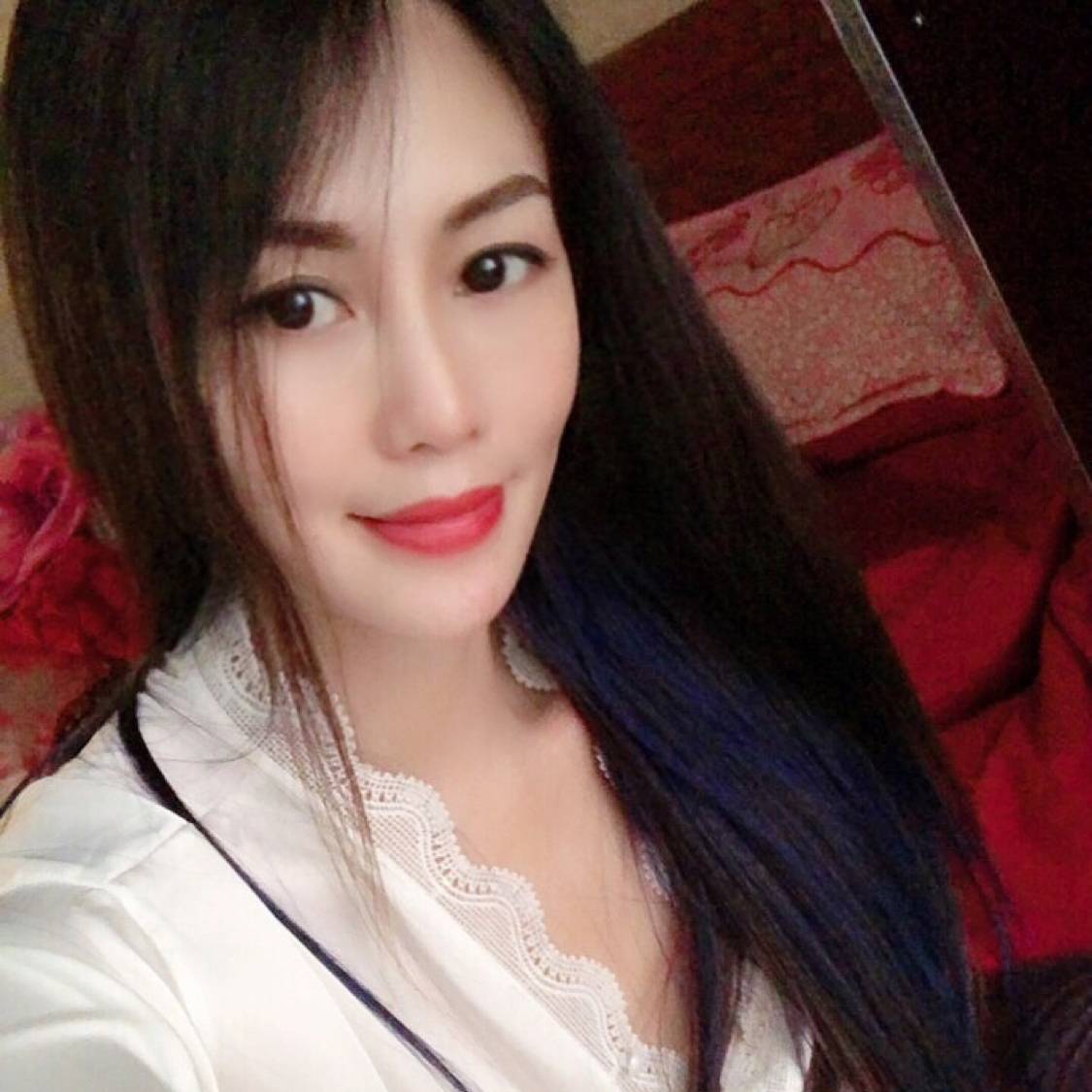 刺猬向美好的照片