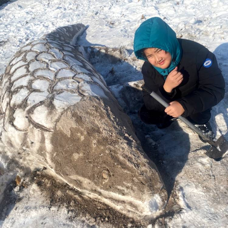 强健de罗杰的照片