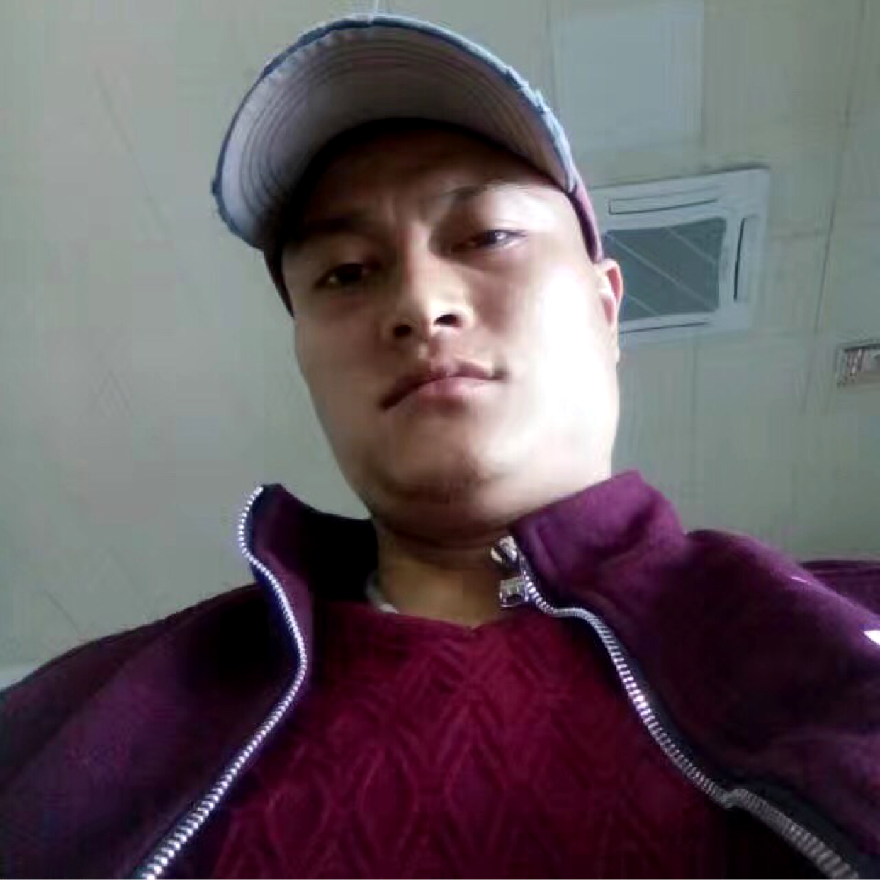 星星倾心靓丽的照片