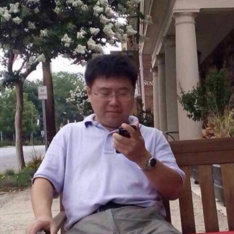 霍莉菲尔熊的照片