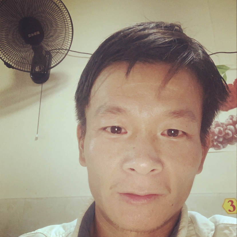 纸鹤演变温暖的照片
