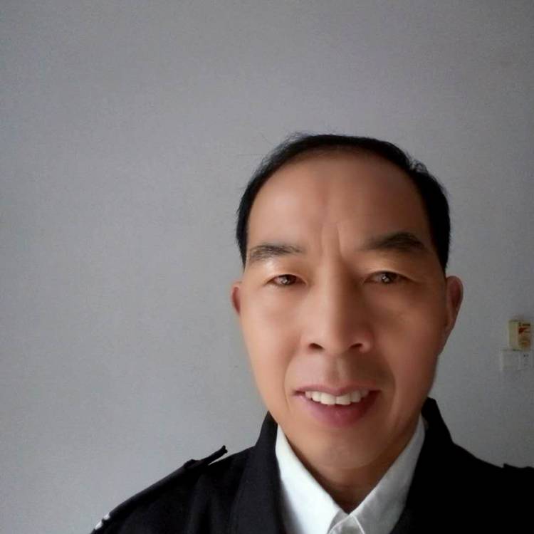小鸽子就快乐的照片