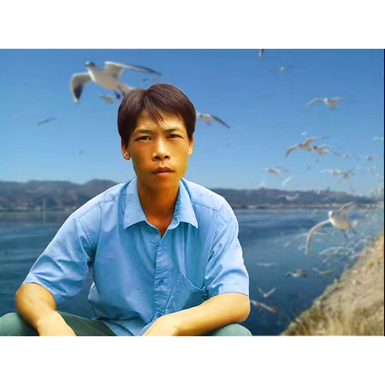 无心宝马的照片