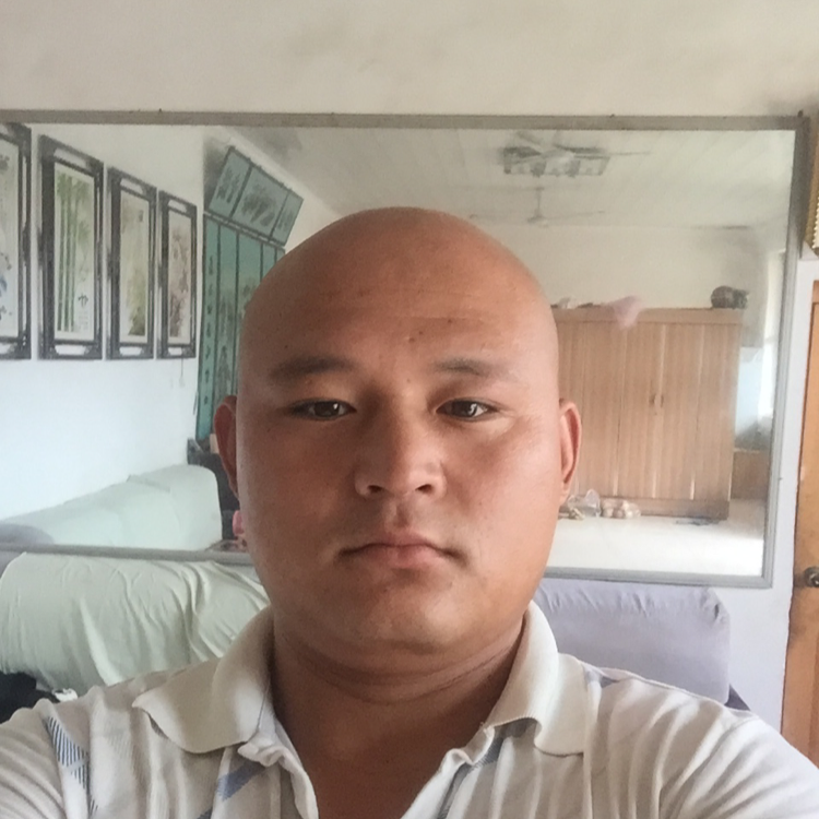 朴实与忘忧的照片
