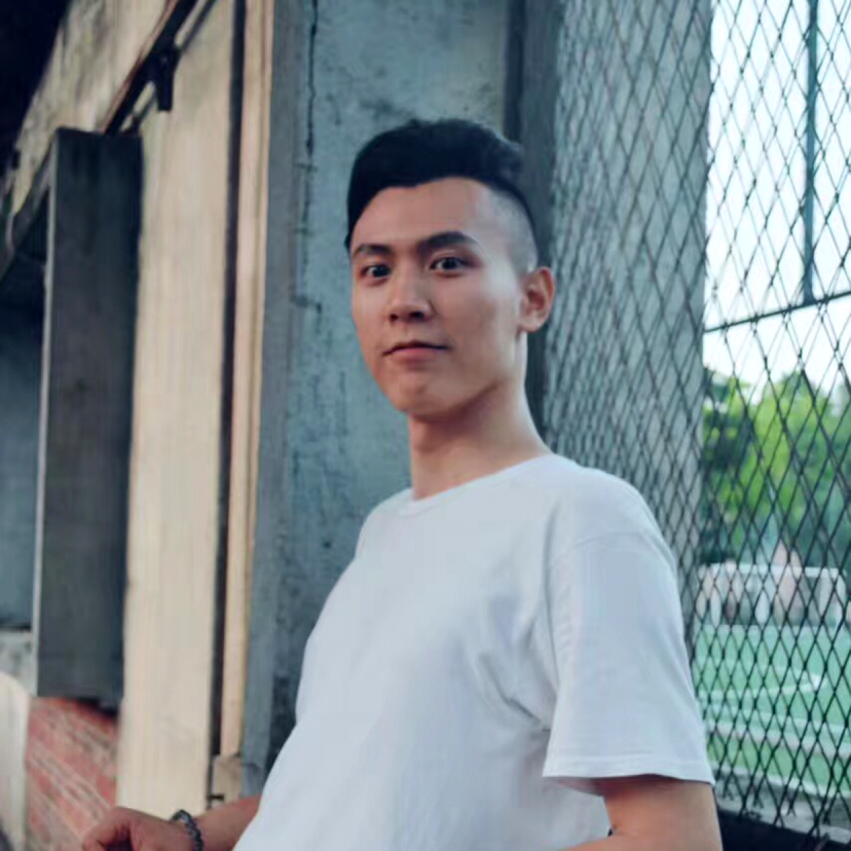高挑的紫苏的照片