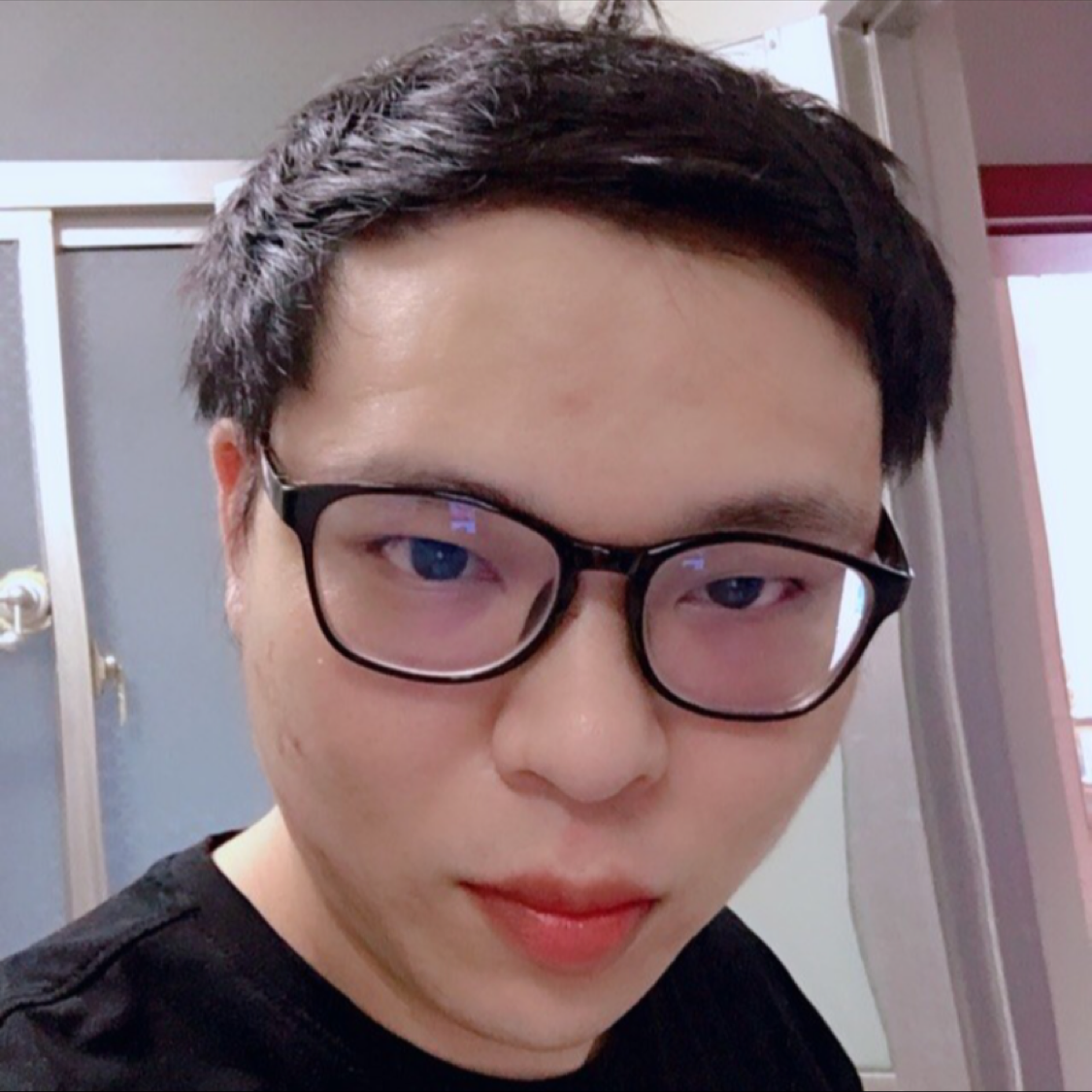 阳光方龙猫的照片
