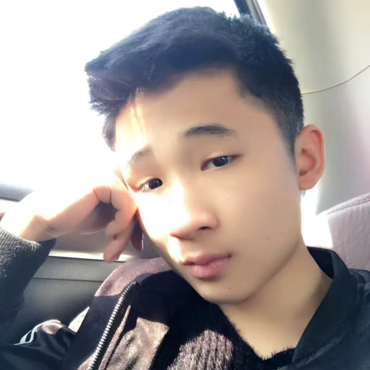 A小奶狗的照片